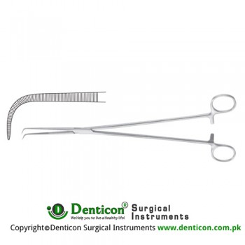 Barre Dissecting and Ligature Forcep Delicate Stainless Steel, 28 cm - 11"